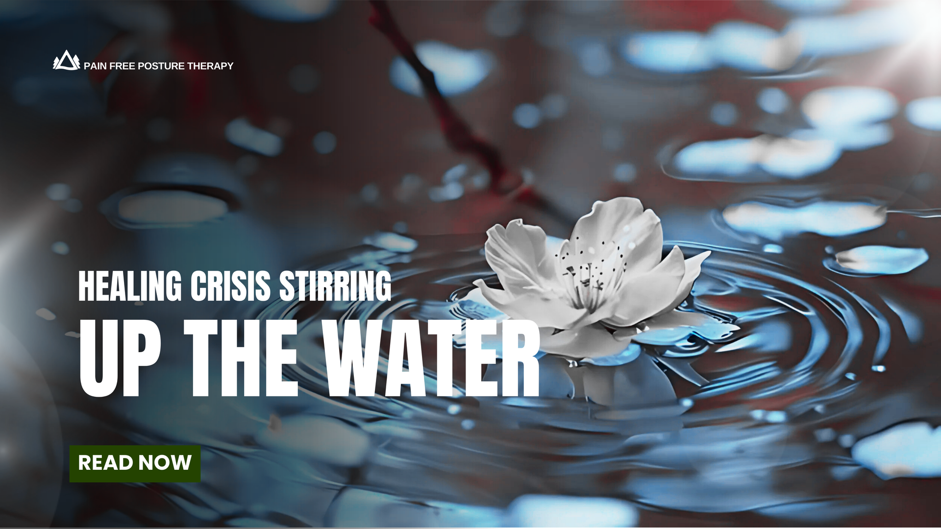 A white flower is floating on top of a blue water surface.