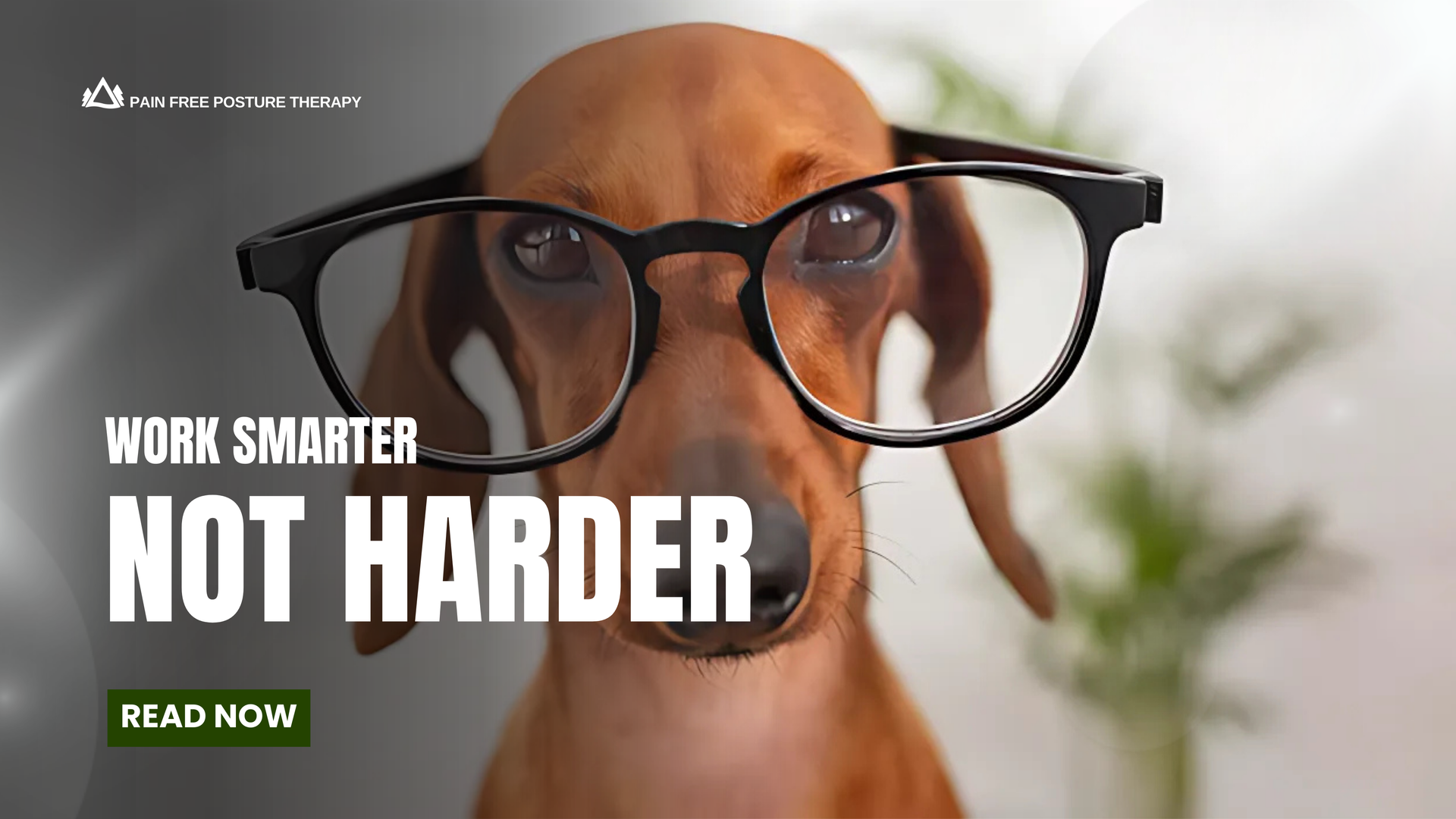 A dog wearing glasses is reading a book