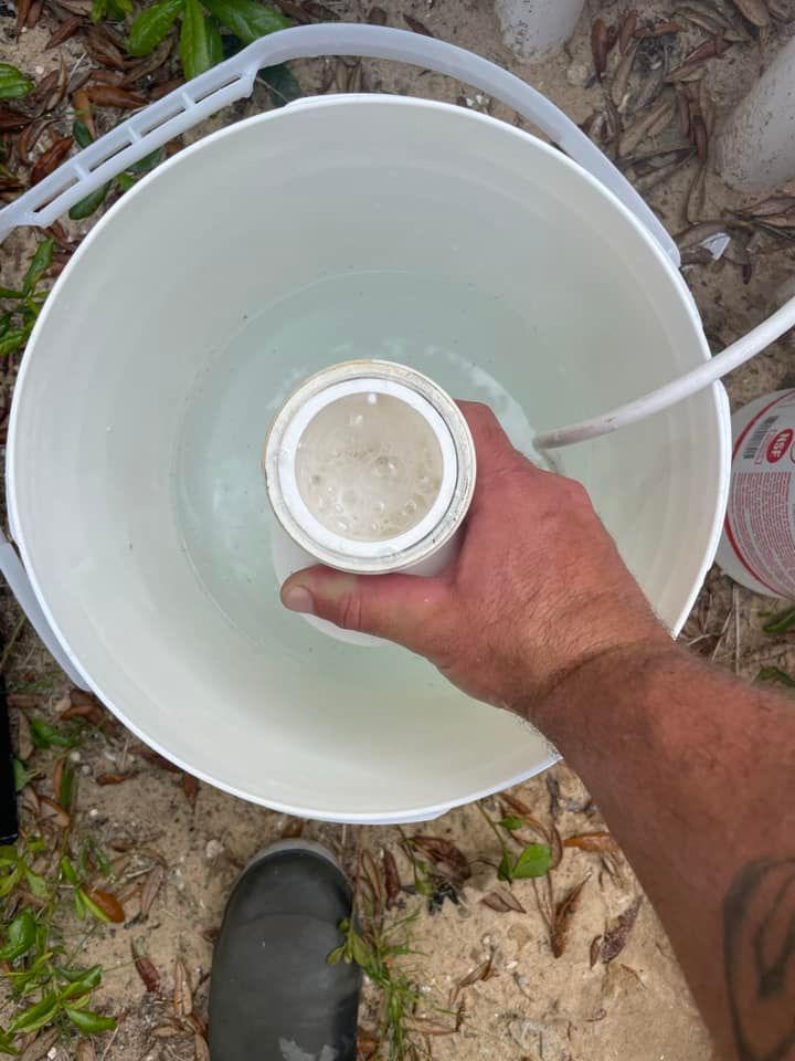 Worker Cleaning the Filter of the Pool