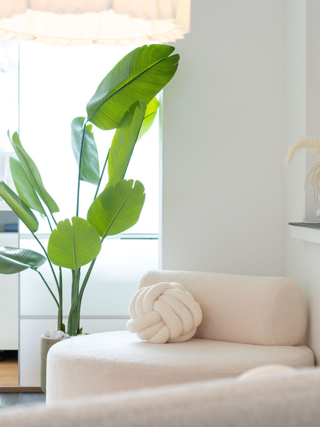 Ein Wohnzimmer mit einer Couch und einer Pflanze