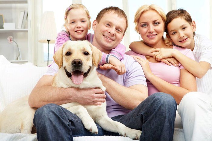 Happy Family of Four with A Dog — Edmonds, WA — Angel Pet Hospital LLC