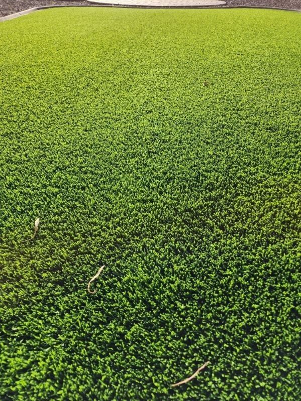 An aerial view of a lush green field of grass.
