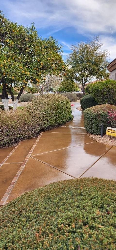 A concrete walkway surrounded by trees and bushes on a rainy day.
