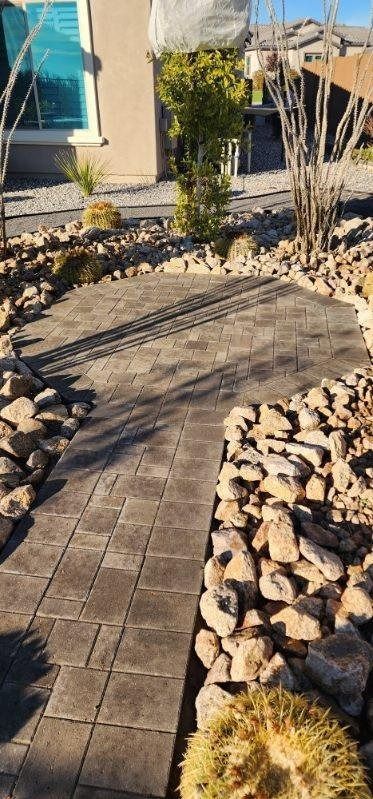 A stone walkway surrounded by rocks and cactus in front of a house.