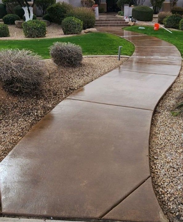 A concrete walkway leading to a house in a garden