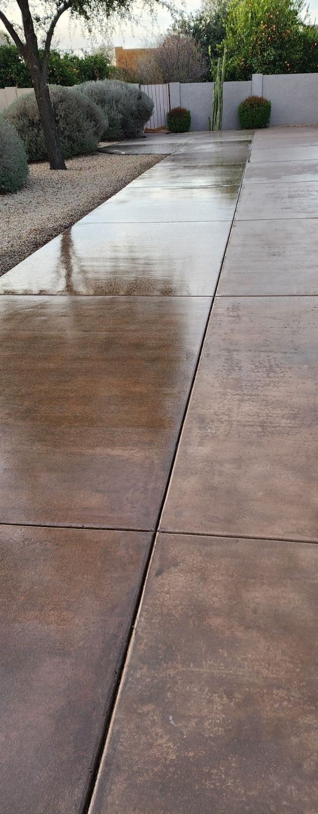 A concrete driveway with a tree in the background.