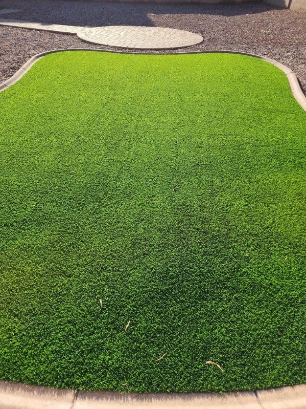 A lawn with a lot of green grass and a concrete curb.