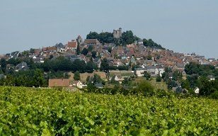 Looking over the vines to the hilltop village of Sancerre