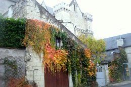 Autumnal scene in Candes-Saint-Martin