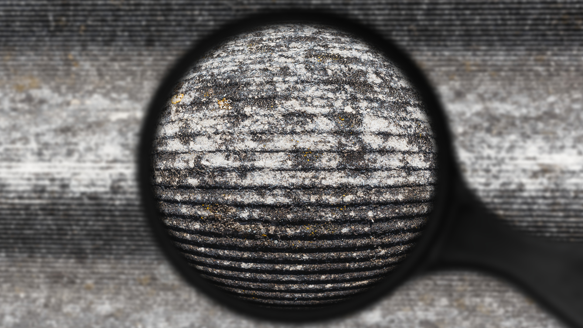 Lead Based Paint Cypress, TX 2818083408