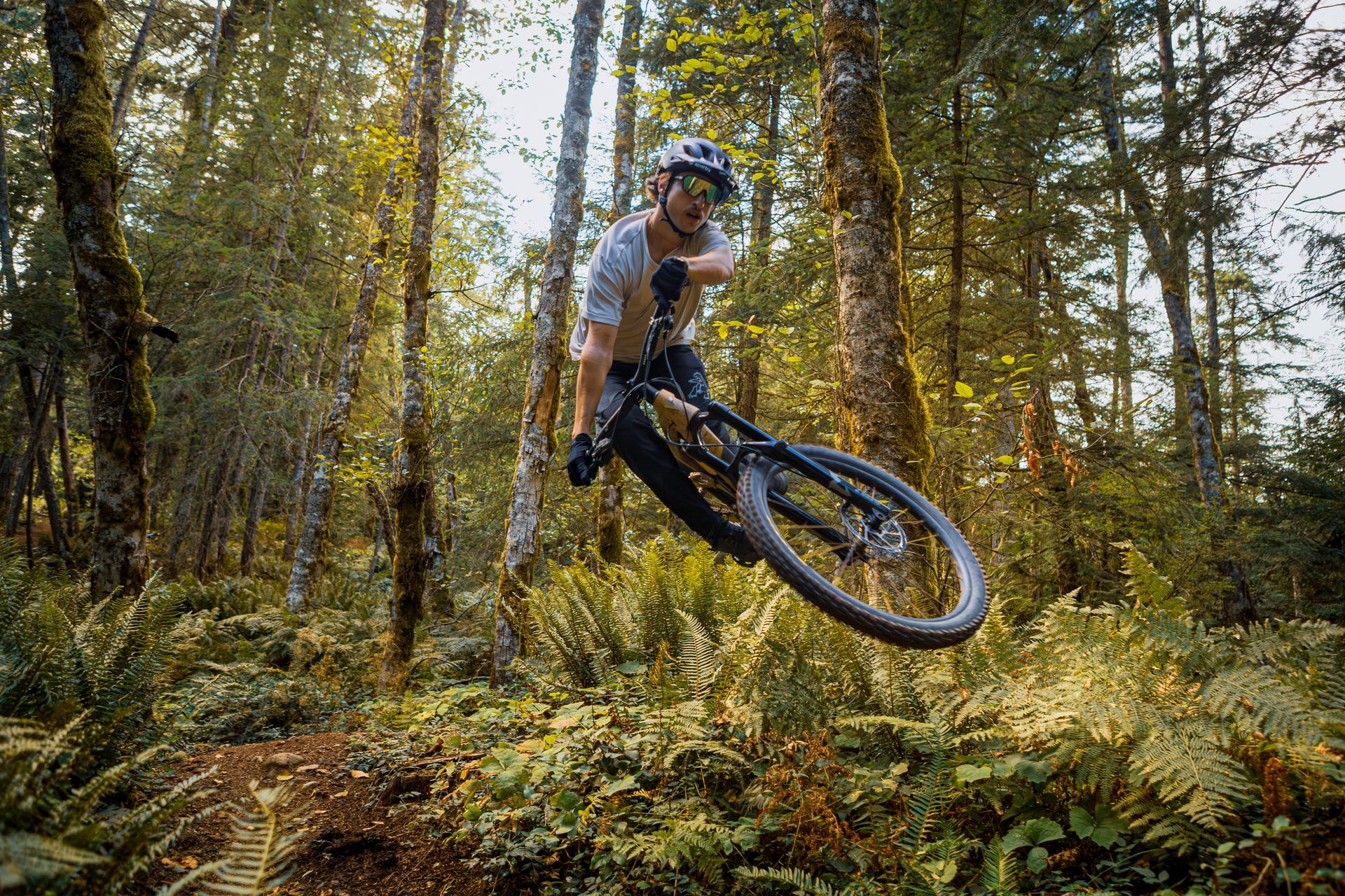 Mountain biker in mid-air over a trail, surrounded by trees and ferns.