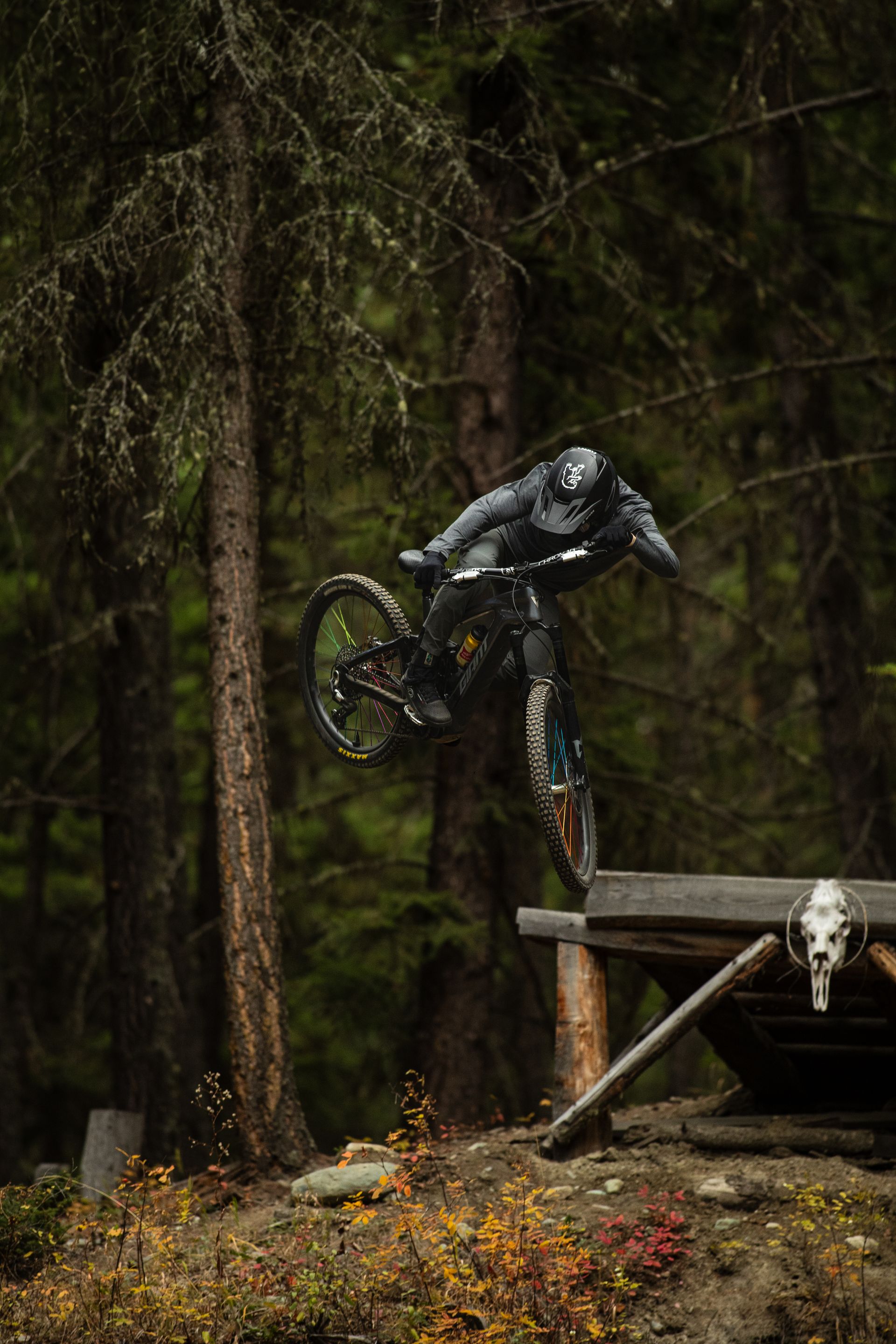 Mountain biker airborne over wooden ramp in a forest setting.