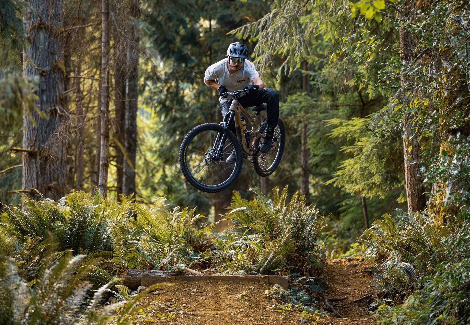 Mountain biker airborne over a dirt jump in a forest, surrounded by trees and ferns.