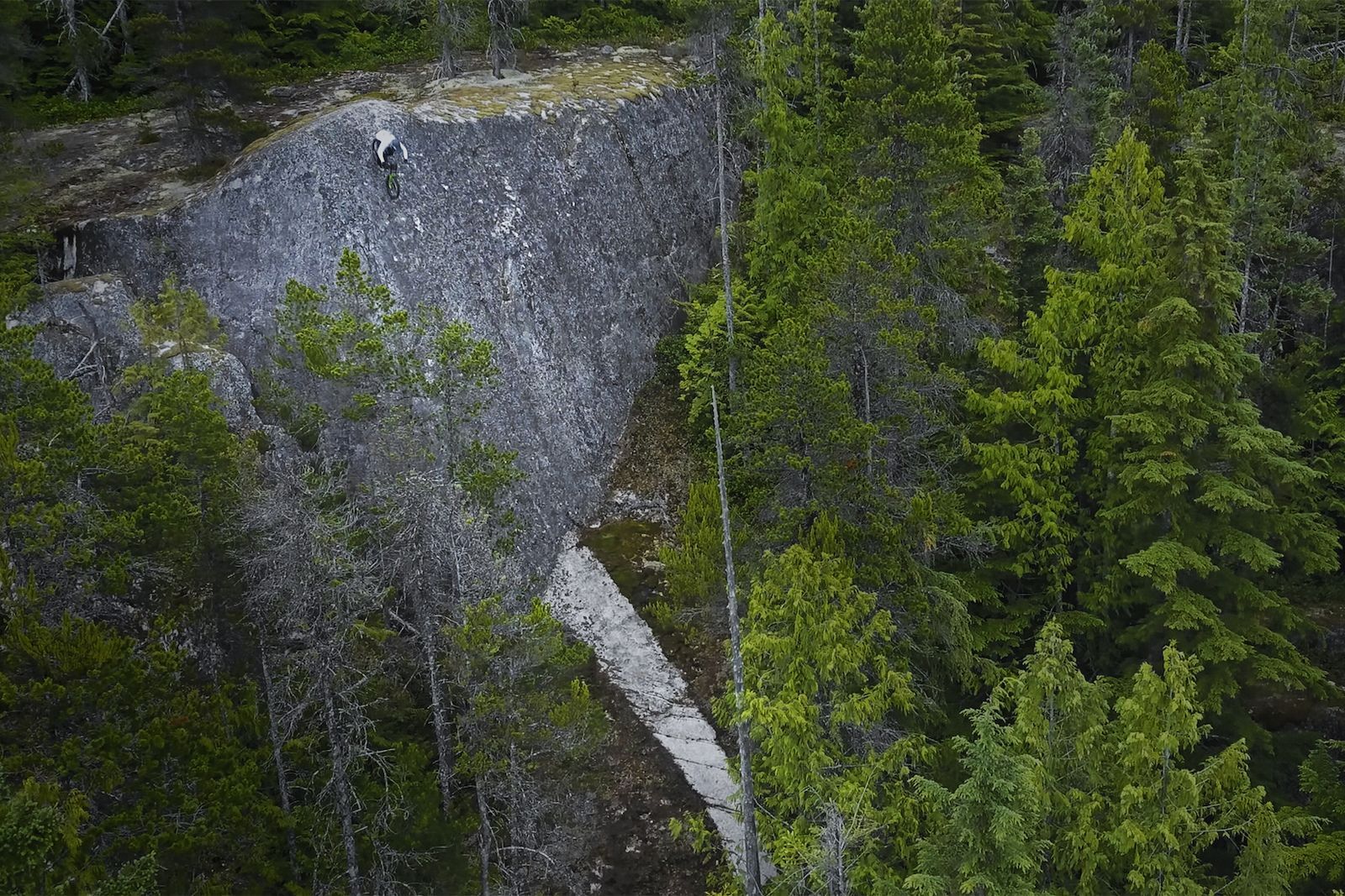 Rocky cliff face with a path, surrounded by trees.