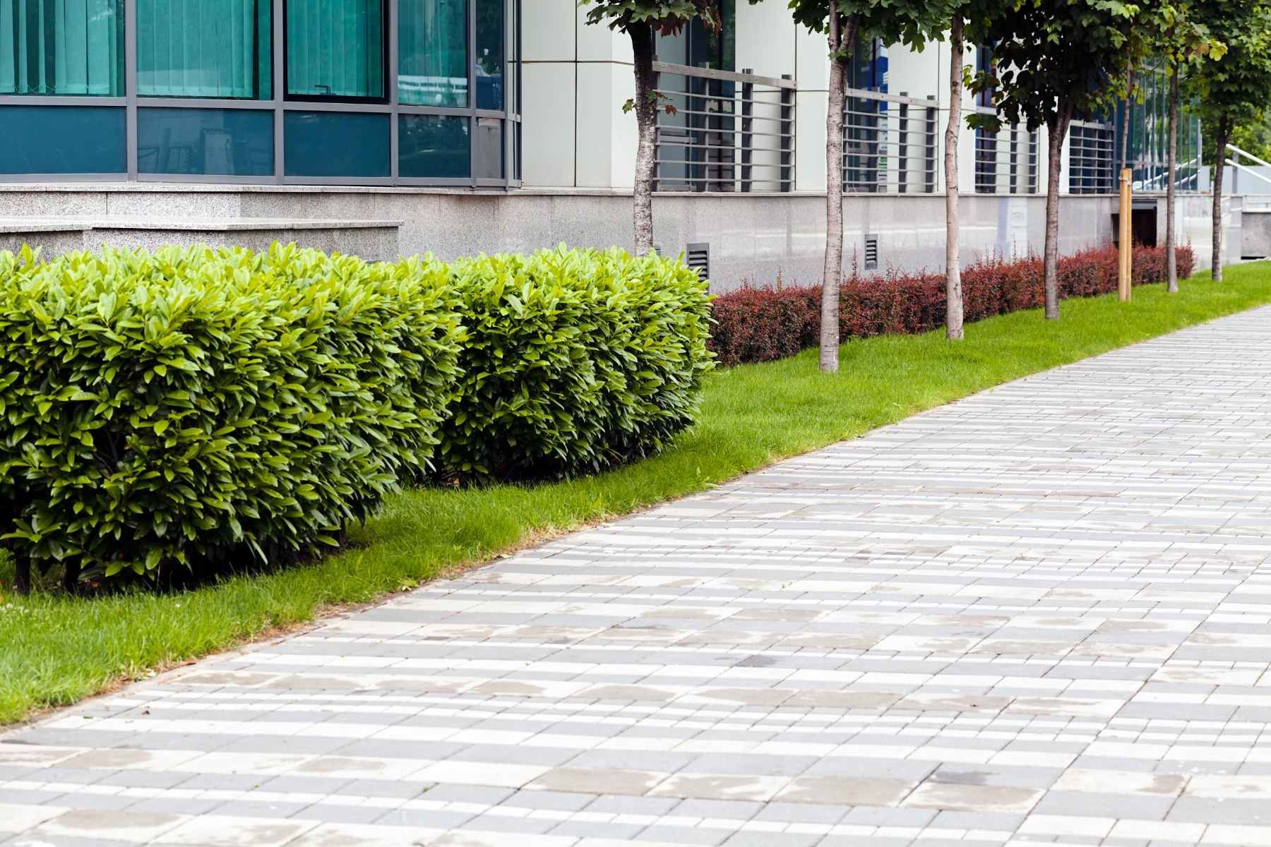 Commercial Hardscaping
