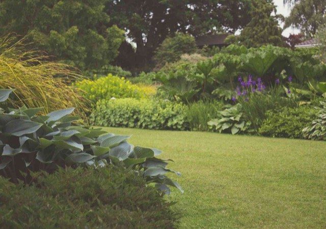 lawn care and garden maintenance coquitlam BC