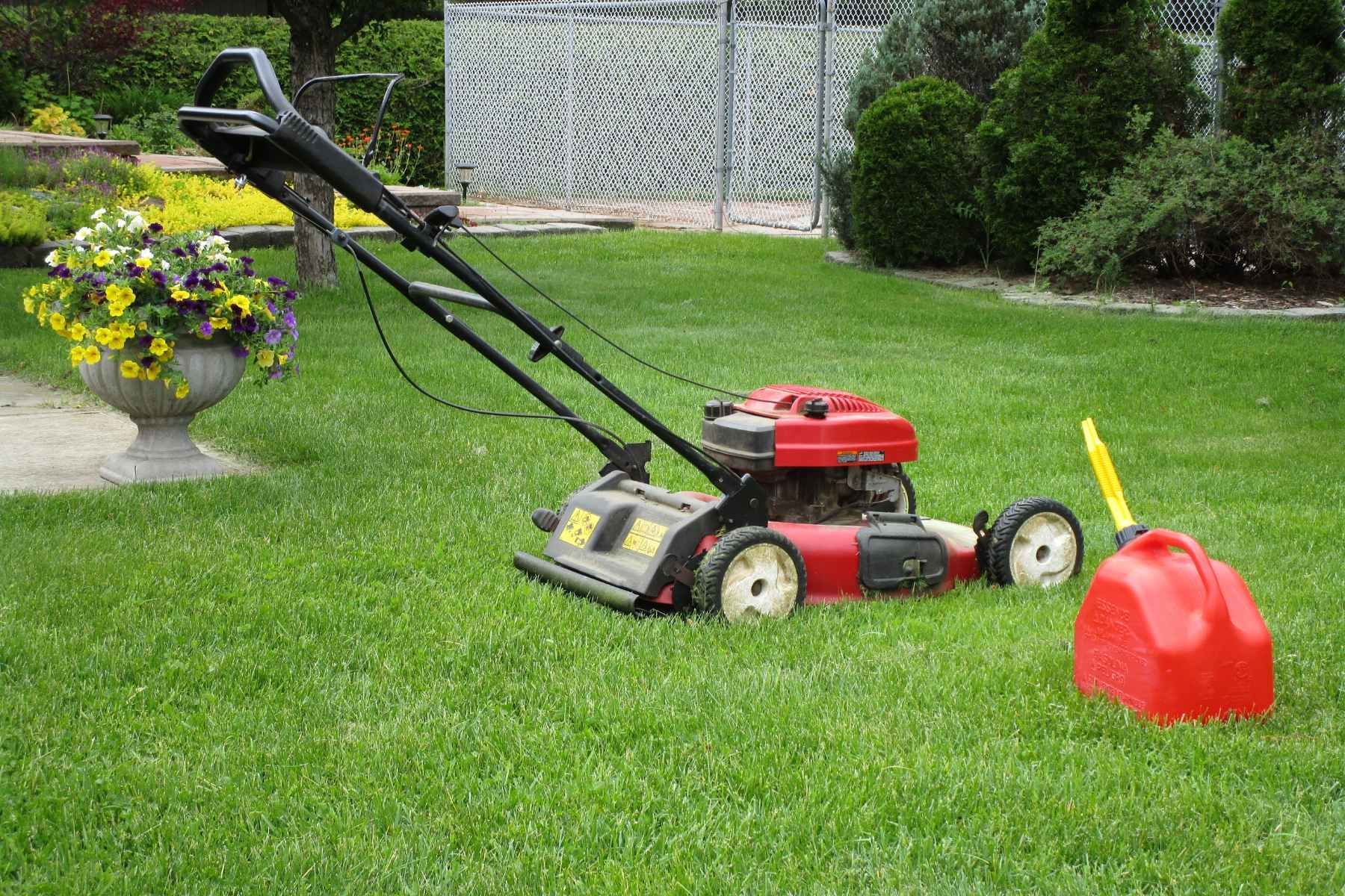 Lawn Overseeding and Topdressing