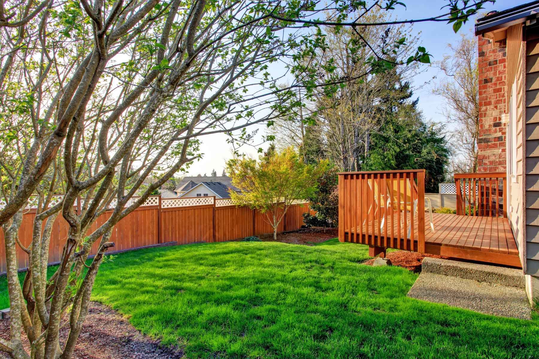 fresh sod Coquitlam