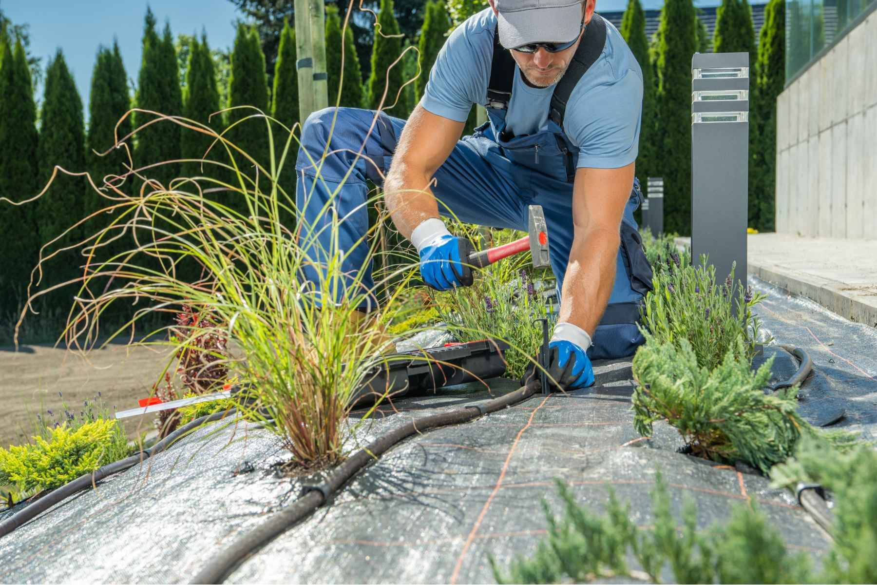 Garden Installation