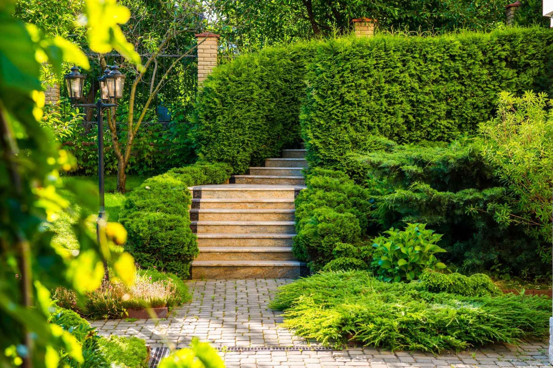 hedge trimming companies near me