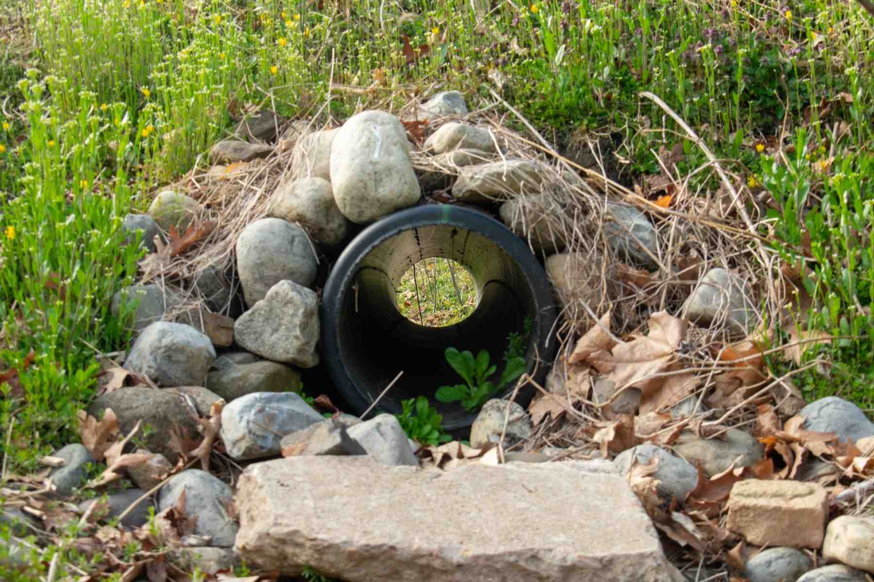 how far should french drain be from foundation coquitlam BC