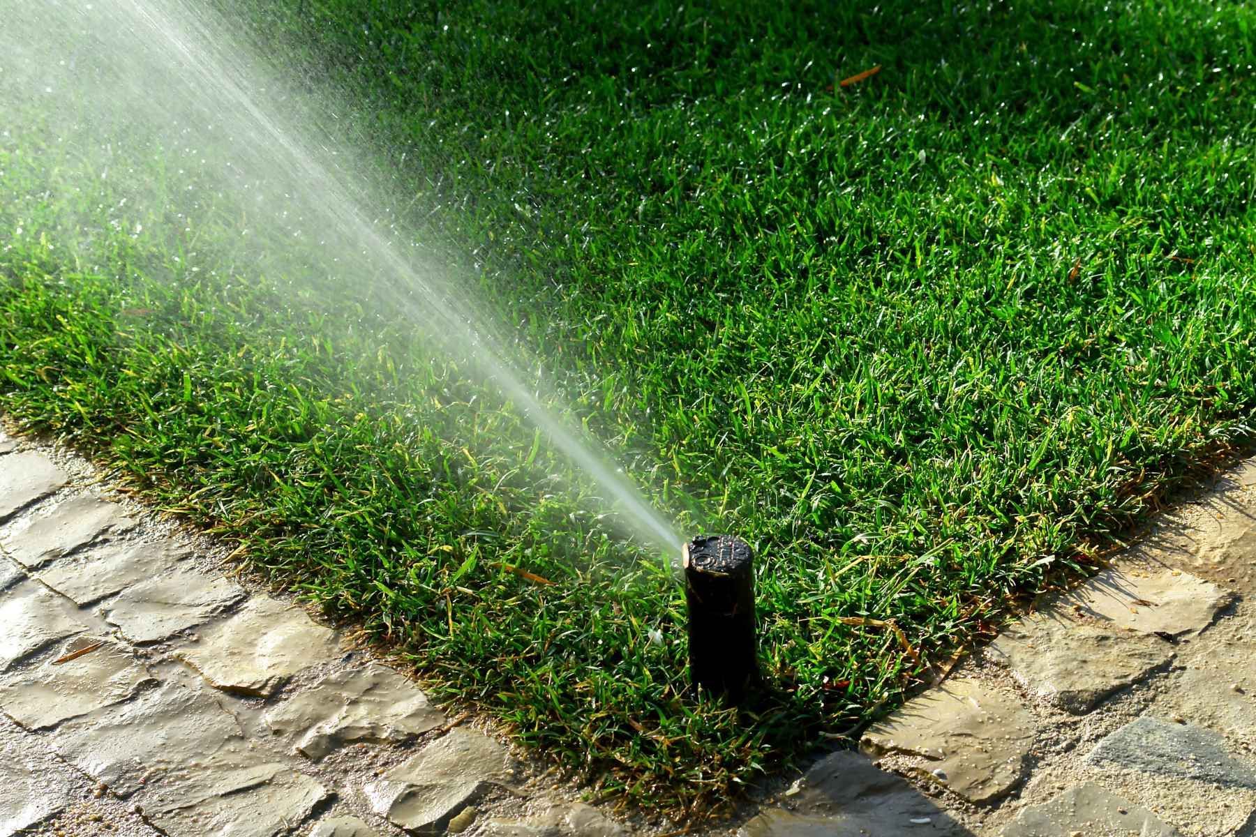 irrigation contractors