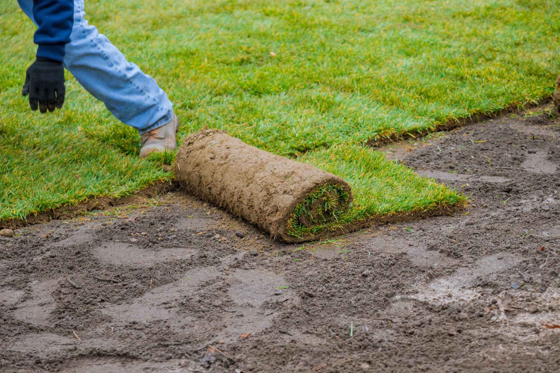 sodding landscapers