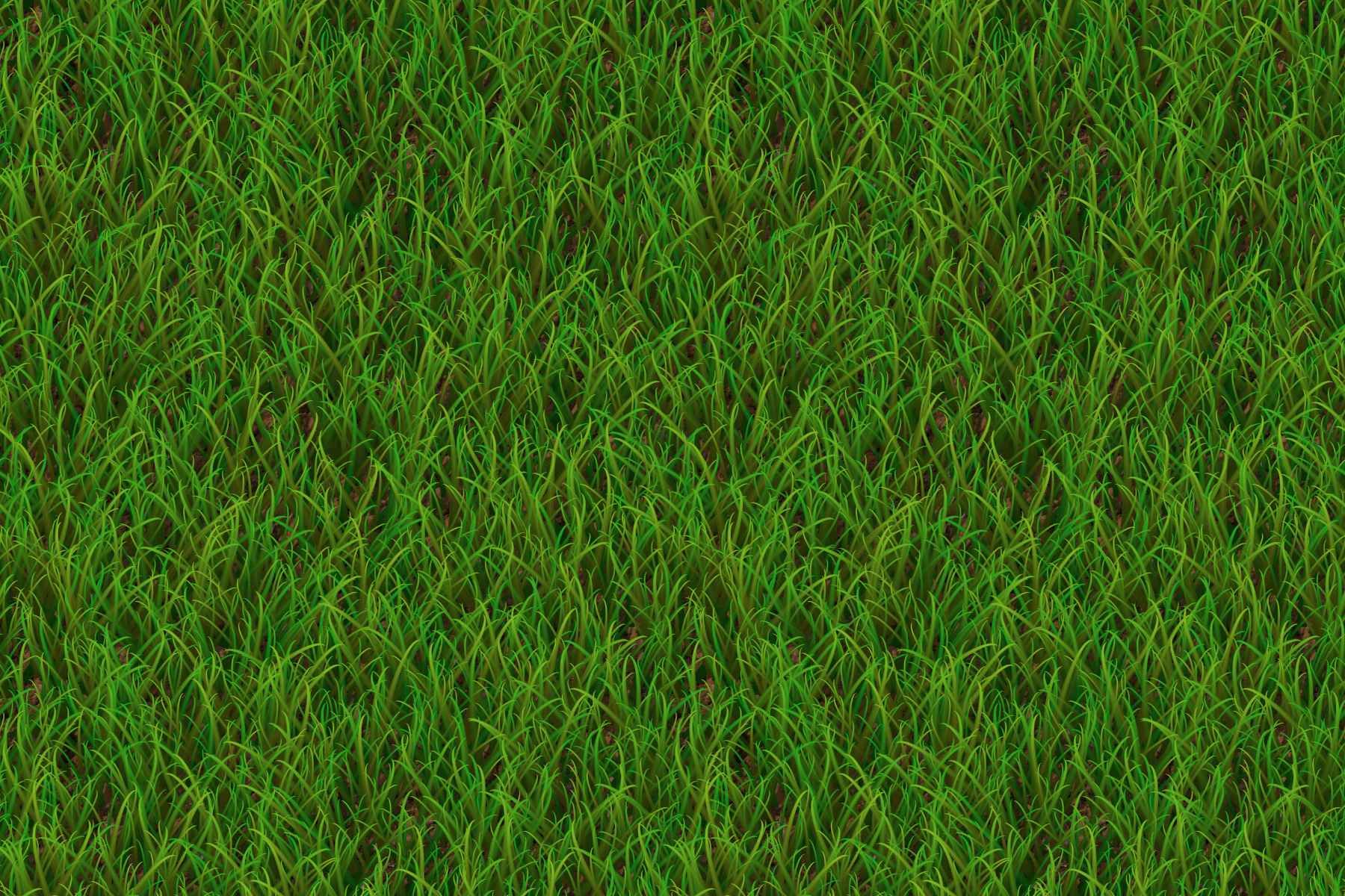 turf and sod installation