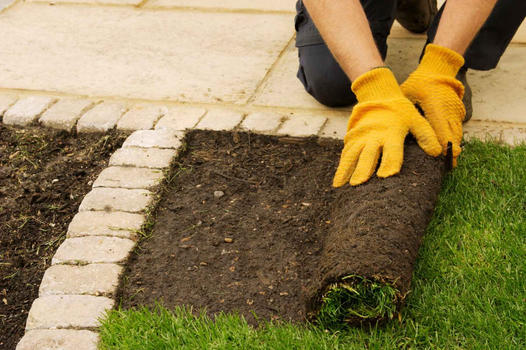 turf installation services