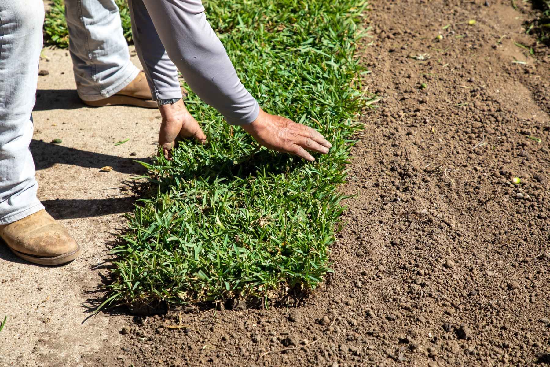 turf installation