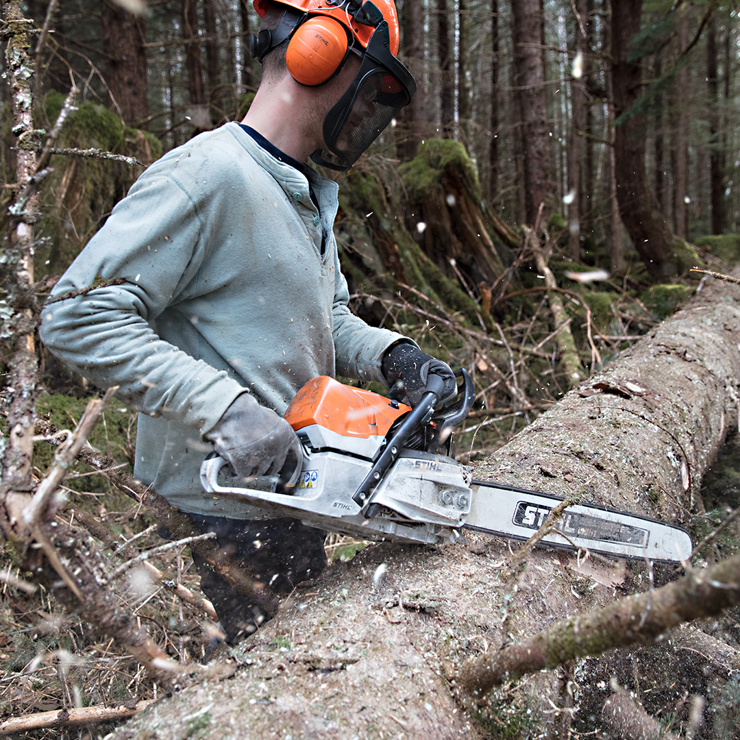 Chainsaw On Grass Close up — The Saw Spot In Kyogle NSW
