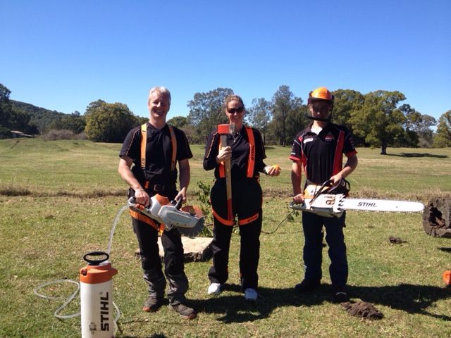 Lawn Mower On Green Lawn By Professional Gardener — The Saw Spot In Kyogle NSW