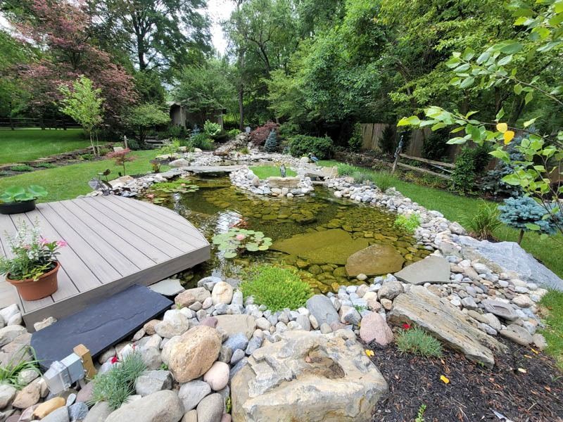 A lush garden pond with a wooden deck, surrounded by rocks and greenery.