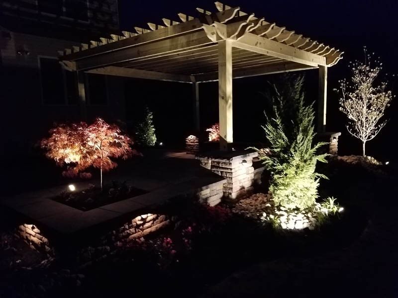 Nighttime view of a pergola and landscaping illuminated by outdoor lights. A Japanese maple tree glows brightly.