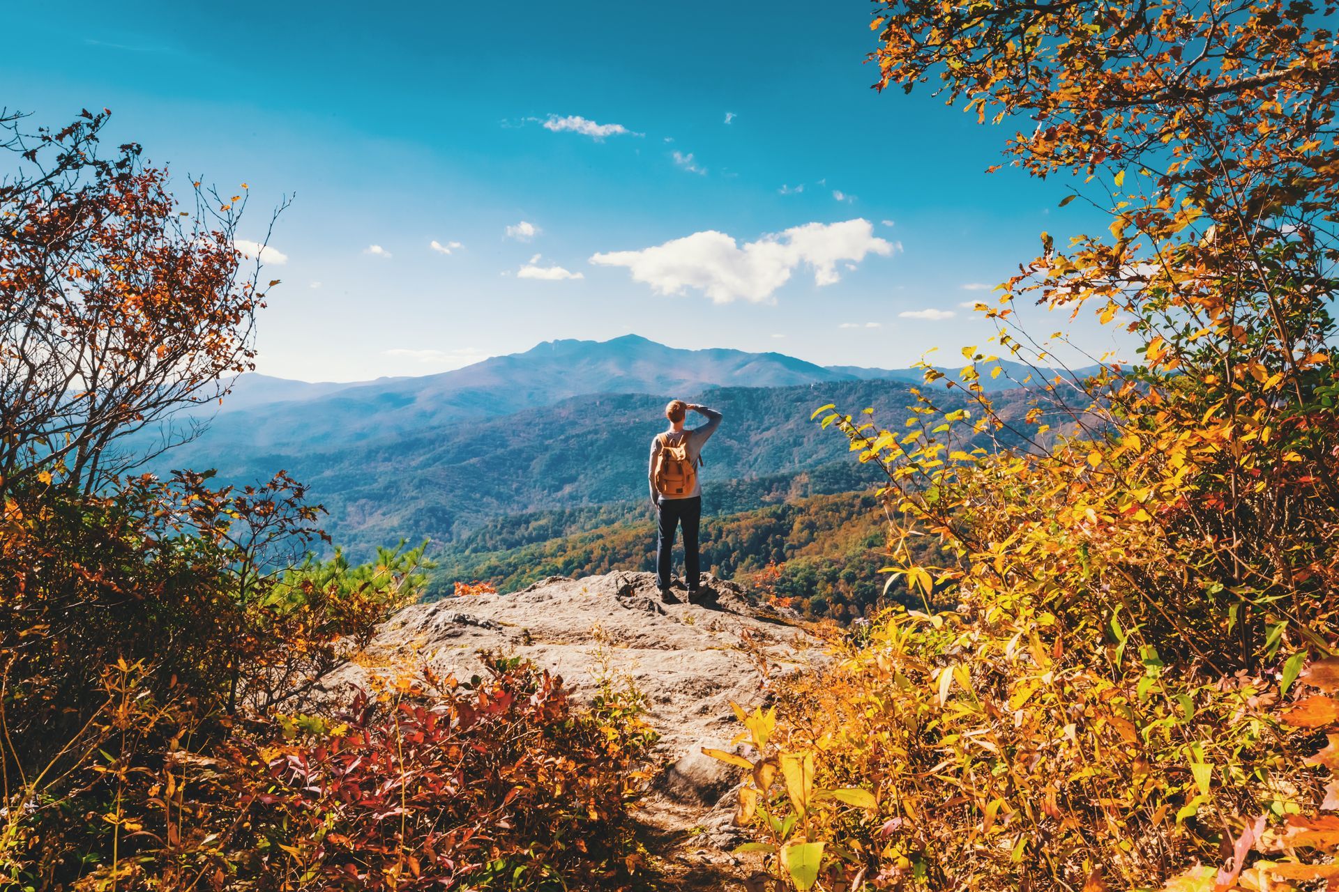 Person with backpack stands on a rock, looking at mountains on a sunny day. Autumn foliage frames the view.