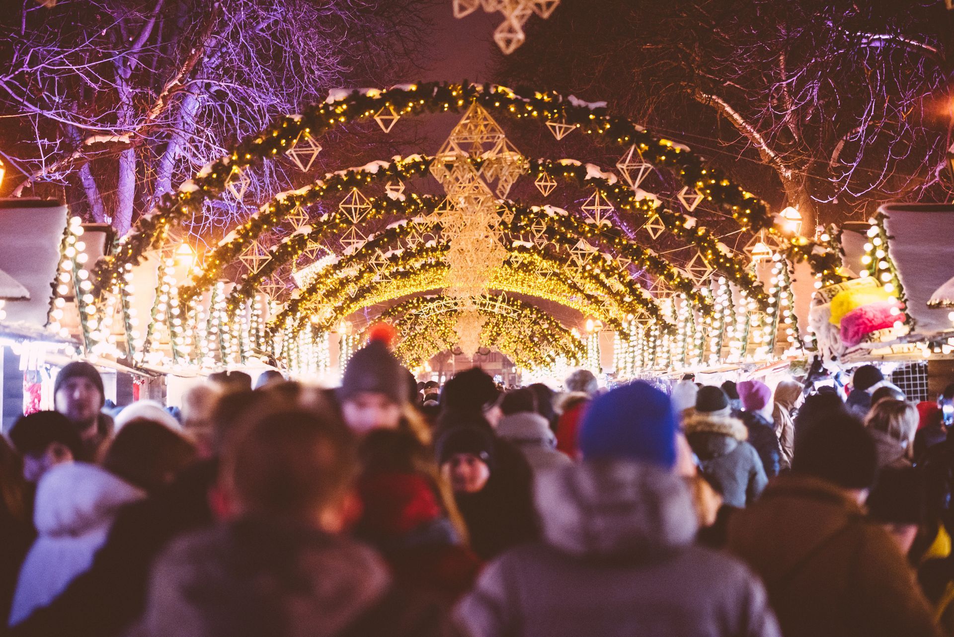 Crowd walks through a festive archway of lights, trees overhead, night scene, gold and purple.