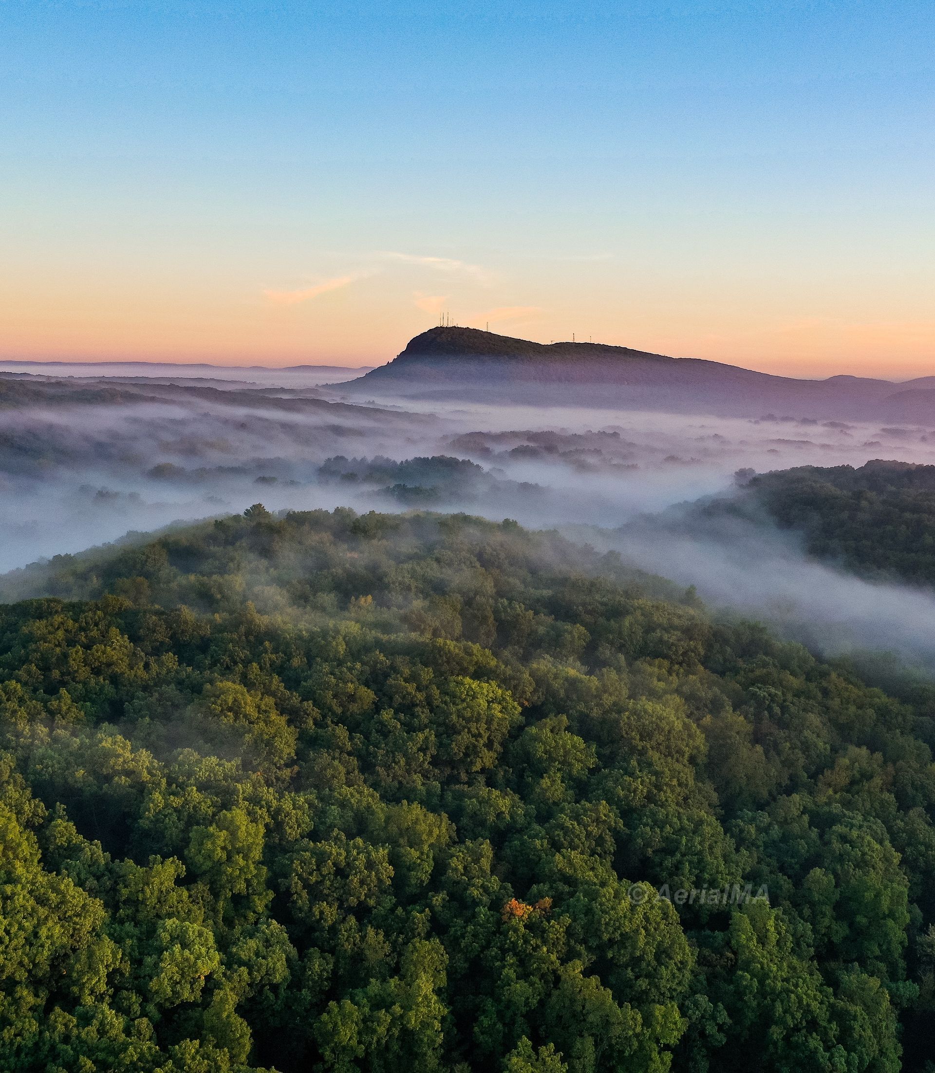Dense green forest with low-lying fog, a mountain in the distance, and a colorful sunrise.
