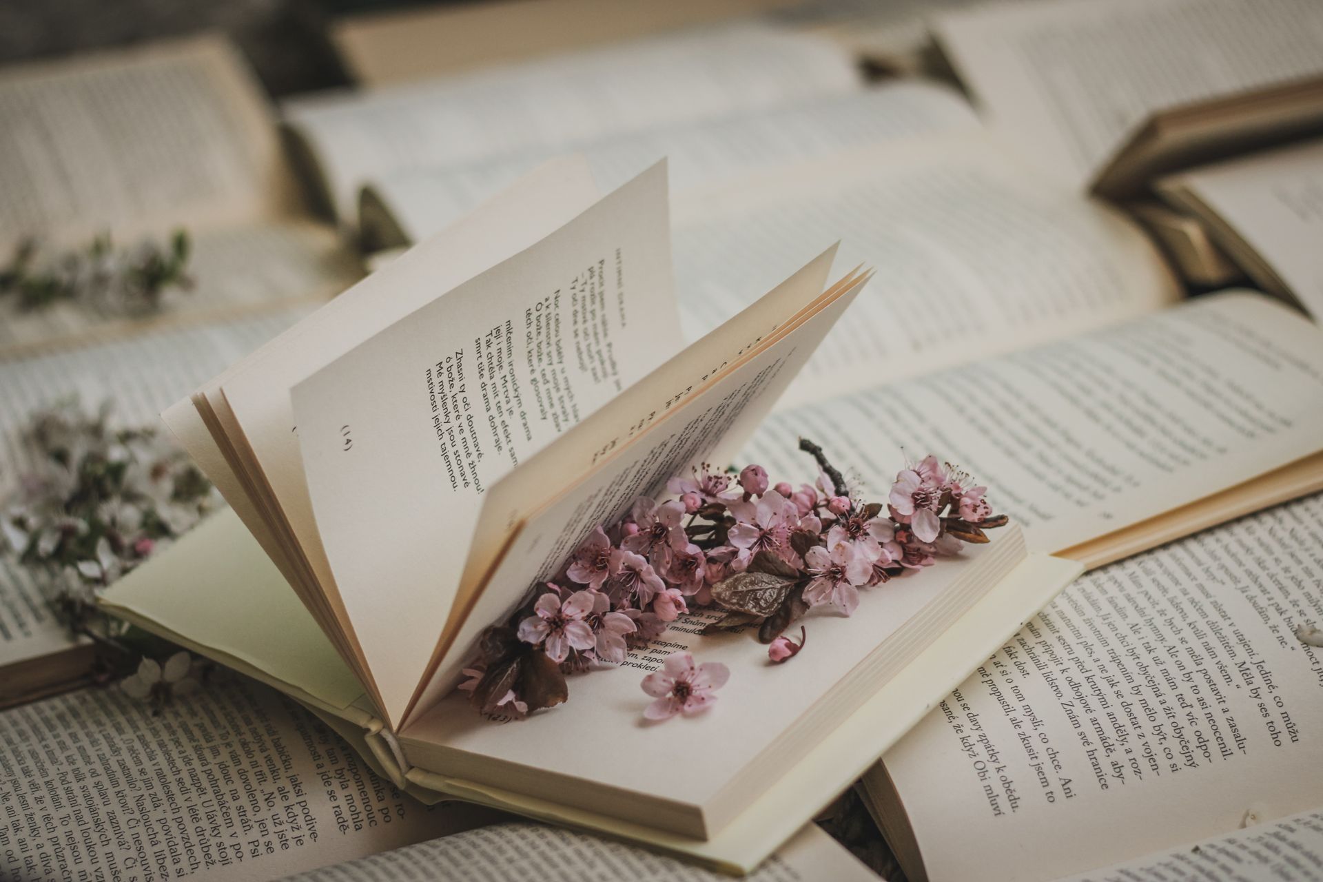Open book with pink flowers, surrounded by other open books.
