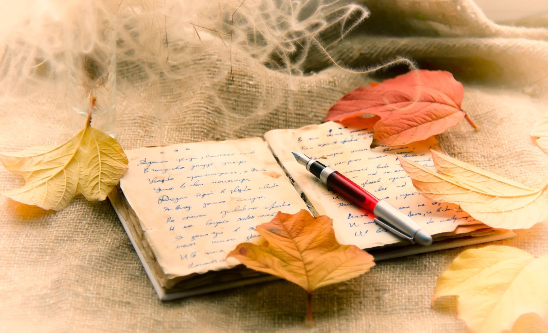 Open notebook with pen, autumn leaves, and soft textured background.