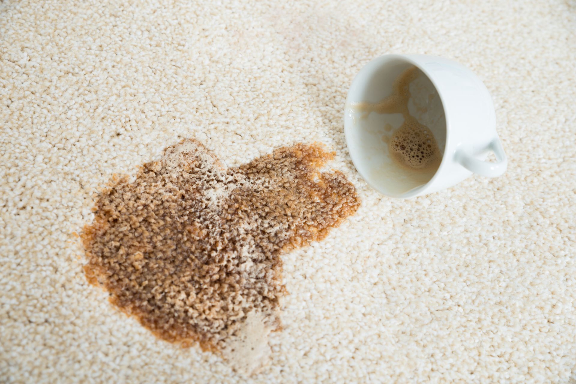 A coffee spilled over a carpet leaving a stain - Macomb, MI - Night Owl Express Carpet Cleaning