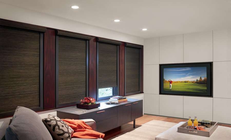 TV room in Newcastle, WA with HD designer roller shades