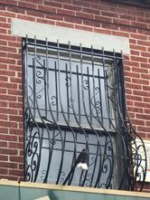 Window Guard - Vinnie's Italian Art Iron Works, Inc in Brooklyn, NY
