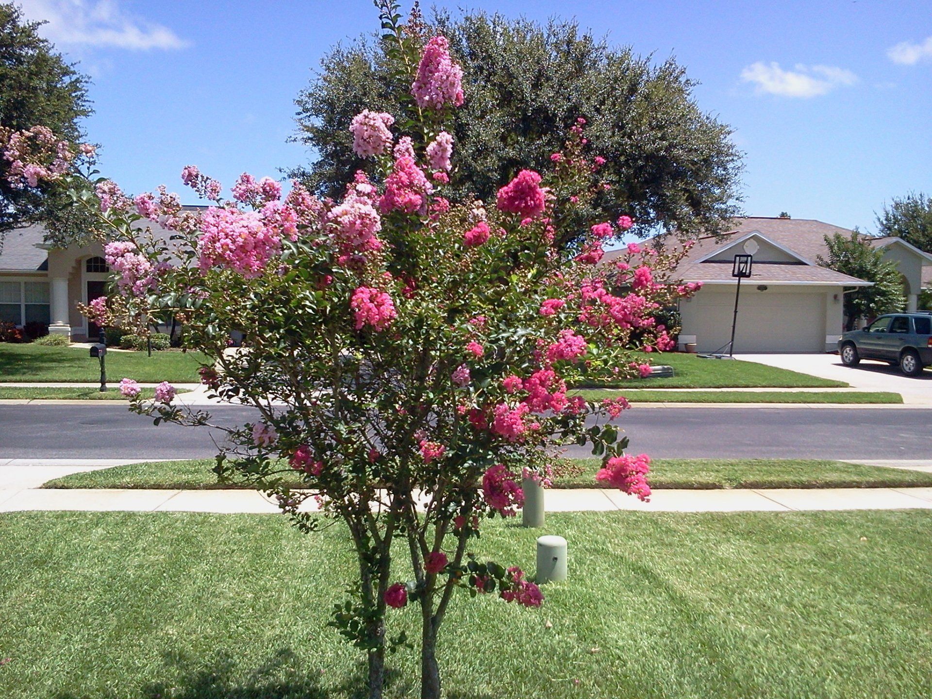 Lawn Treatment — Pest Control Worker Spraying Pesticide in Melbourne, FL Lawn Treatment — Pest Control Worker Spraying Pesticide in Melbourne, FL