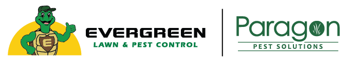 Paragon Pest Solutions Paragon Pest Solutions
