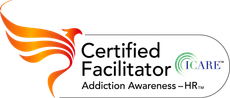 Certified Facilitator Addiction Awareness Certification