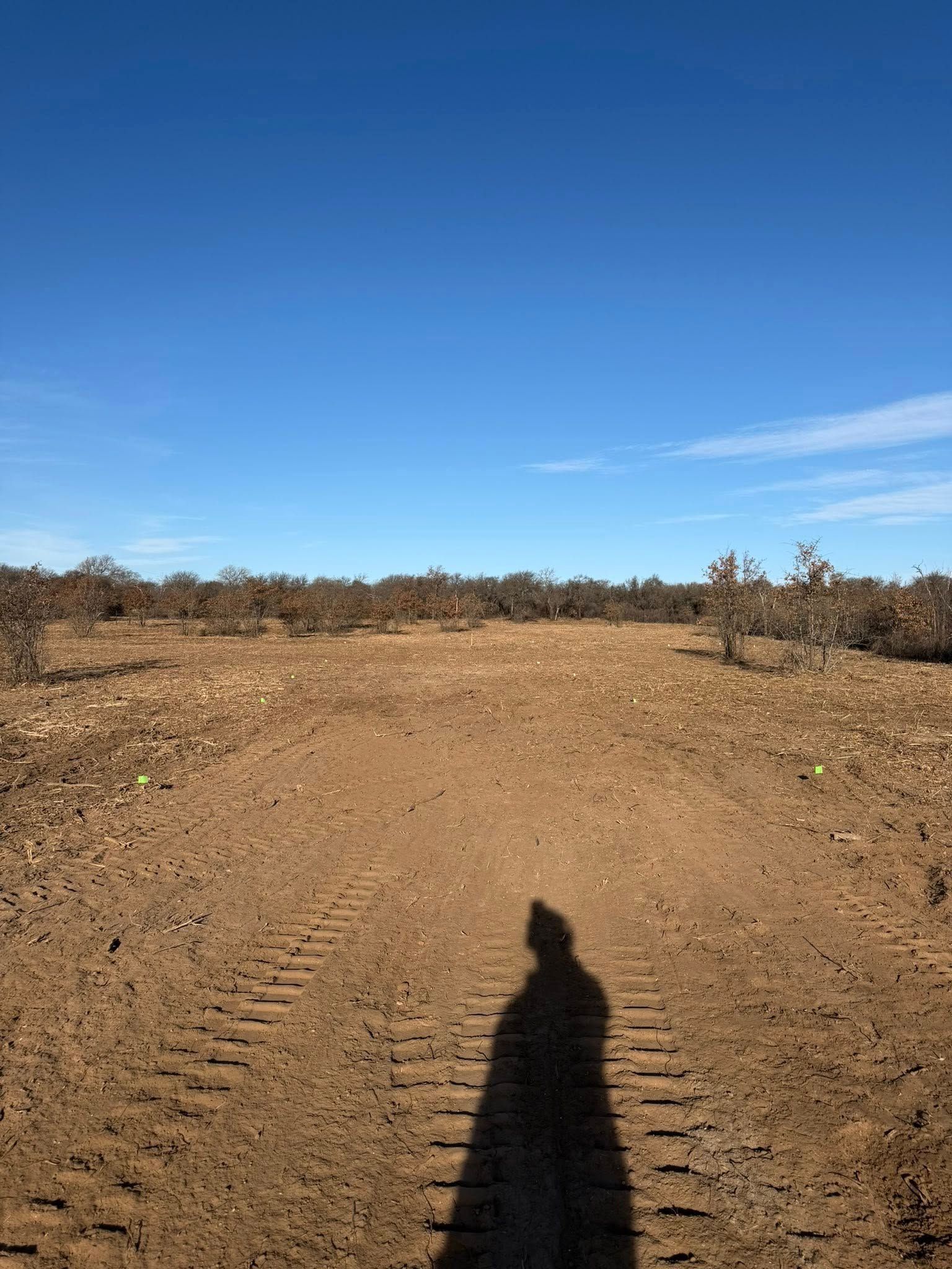 A sunny outdoor scene with a dirt road, trees on the horizon, and a person's shadow cast on the road.