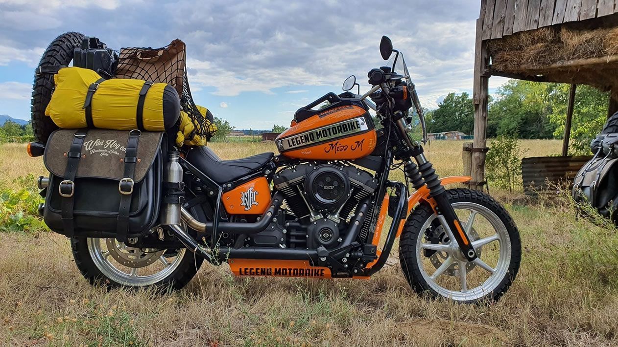 Moto Harley-Davidson orange avec bagages garée dans un champ herbeux à côté d'une structure en bois.