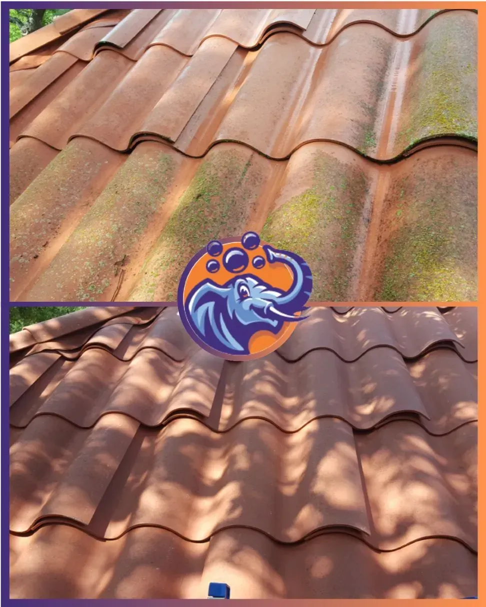 Before and after of a terracotta tile roof cleaning. Top shows moss, bottom is clean.