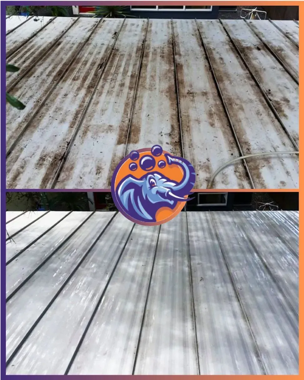 Before and after of a corrugated roof cleaned with a pressure washer. Dark streaks gone, roof looks clean.