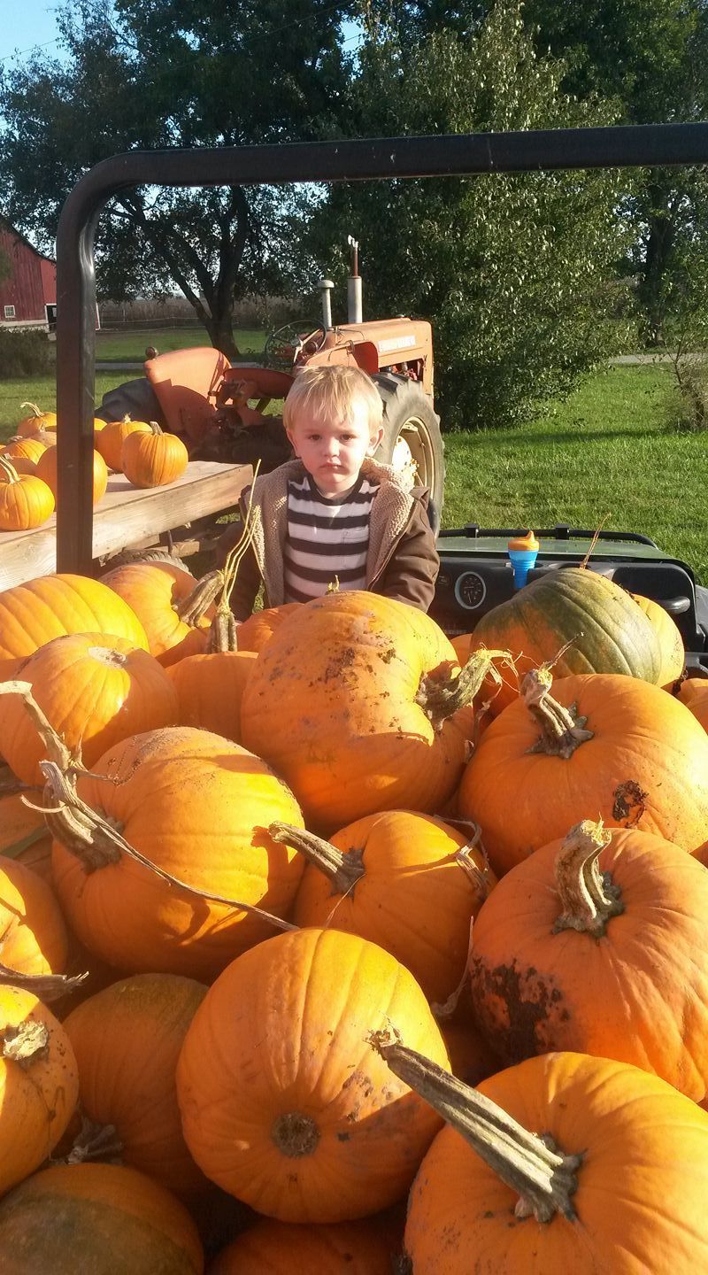 A little boy is sitting in the back of a truck full of pumpkins.